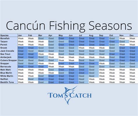 Cancun Fishing Calendar